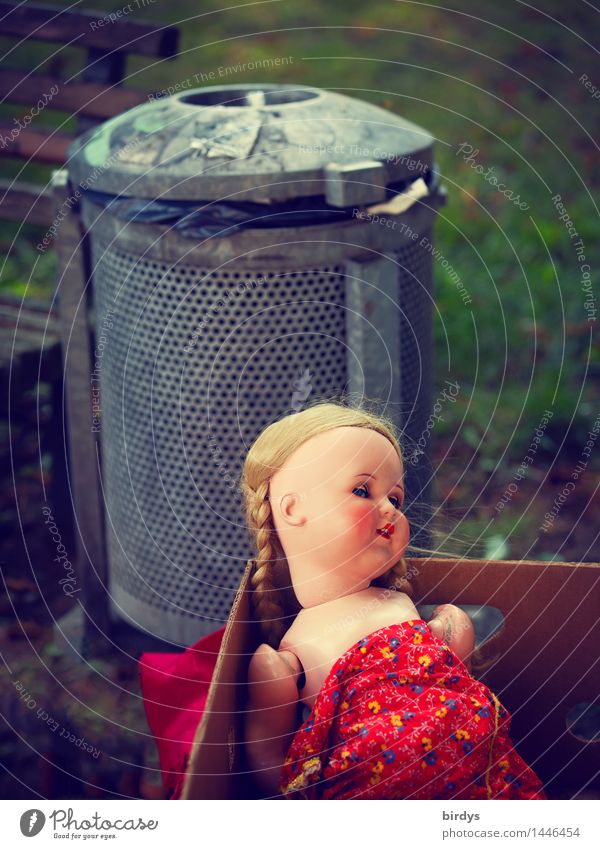 Schicksal Park Spielzeug Puppe Müllbehälter Papierkorb Karton Lächeln Blick Traurigkeit alt gruselig kaputt feminin Gefühle Tod Schmerz Enttäuschung Einsamkeit