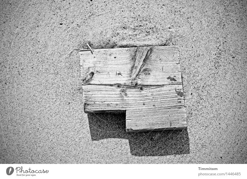 Kann die Zeichen deuten wer? Urelemente Sand Strand Dänemark Holz liegen einfach grün schwarz Schwarzweißfoto Strukturen & Formen Maserung Schatten
