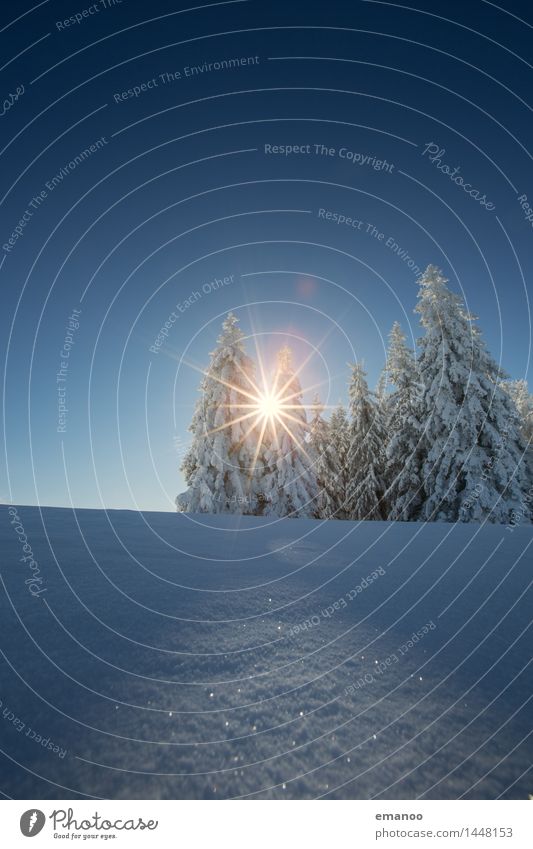 Winterwaldsonne Ferien & Urlaub & Reisen Tourismus Schnee Winterurlaub Berge u. Gebirge wandern Natur Landschaft Luft Himmel Sonne Klima Schönes Wetter Eis