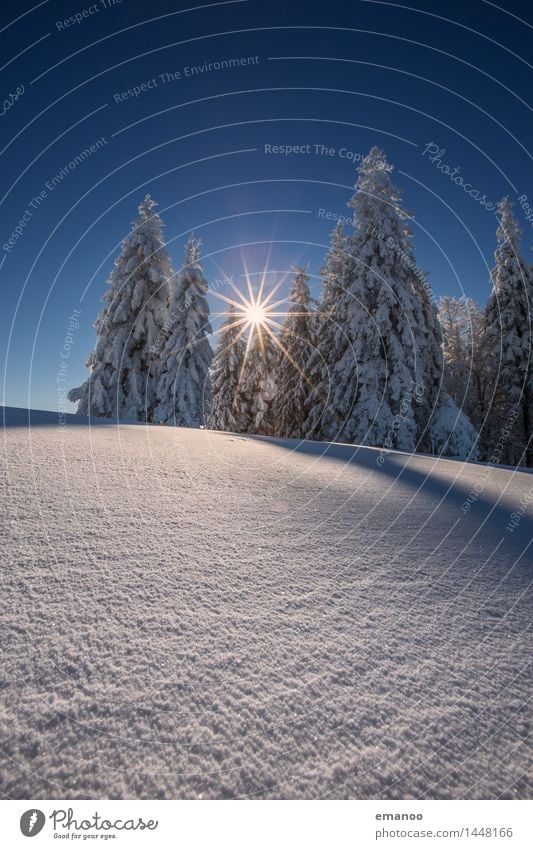 Winterwald Ferien & Urlaub & Reisen Tourismus Ausflug Schnee Winterurlaub Berge u. Gebirge wandern Natur Landschaft Himmel Eis Frost Schneefall Baum Wald Hügel
