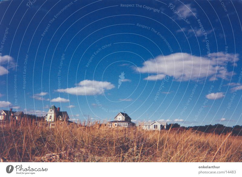 Maine Gras Haus Wolken Stranddüne Himmel Ferne Dünengras Menschenleer Einfamilienhaus Neuengland Blauer Himmel Wolkenhimmel ruhig Urlaubsfoto Reisefotografie