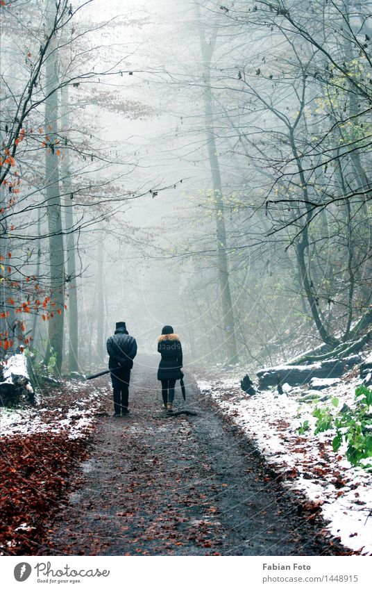 Anfang Dezember im Wald 2 Mensch Frau Erwachsene Mann Paar Partner Wassertropfen Winter schlechtes Wetter Nebel Eis Frost Schnee Baum gehen wandern Zusammensein