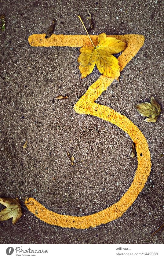 Die Zahl 3 Drei Ziffer Nummer Ziffern & Zahlen gelb Termin & Datum Jubiläum herbstlich welk Alter Blätter