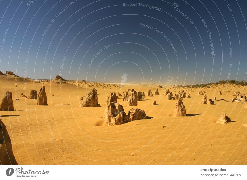 ___--__---_----x Australien West Australien Stein Pinnacles Himmel Sand orange blau Sandsturm Nationalpark Ausflug Rausch Ferien & Urlaub & Reisen Erde