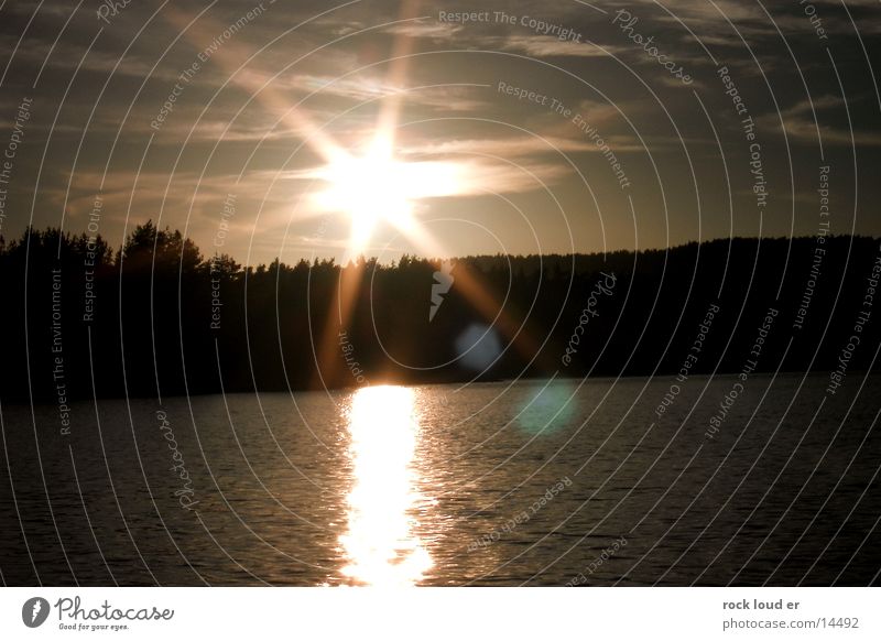 Funkel Sonne Silhouette Wald dunkel Reflexion & Spiegelung mystisch Abenddämmerung Dämmerung Landschaft Wasser Beleuchtung Sonnenuntergang