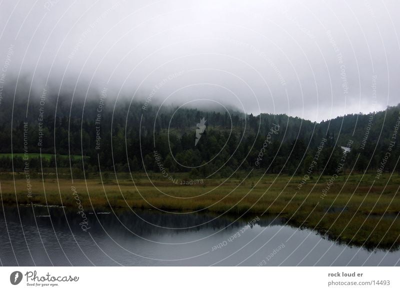Nebel auf Norwegen See grün Gras dunkel Wald Baum feucht Reflexion & Spiegelung Moor foggy