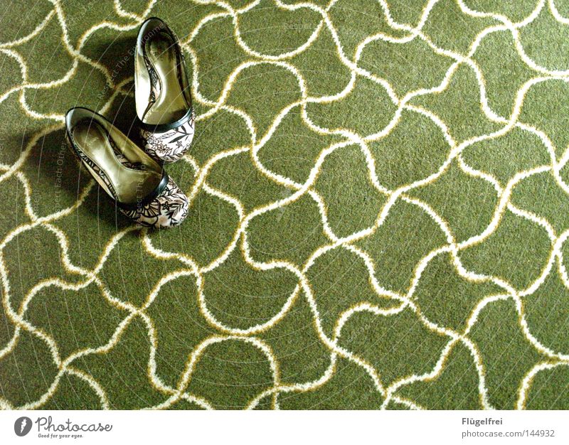 Die Schuhe der Froschkönigin Schminke Wellen Blume Wiese Bekleidung Gold Ornament Streifen alt berühren Bewegung glänzend gehen Kommunizieren laufen grün weiß