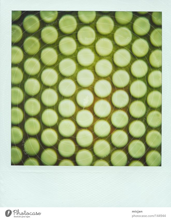Die Quadratur der Kreise Punkt Reihe Spalte grün Wand Noppe System Wiederholung Symmetrie Muster Strukturen & Formen Geometrie graphisch Bodenbelag Mauer