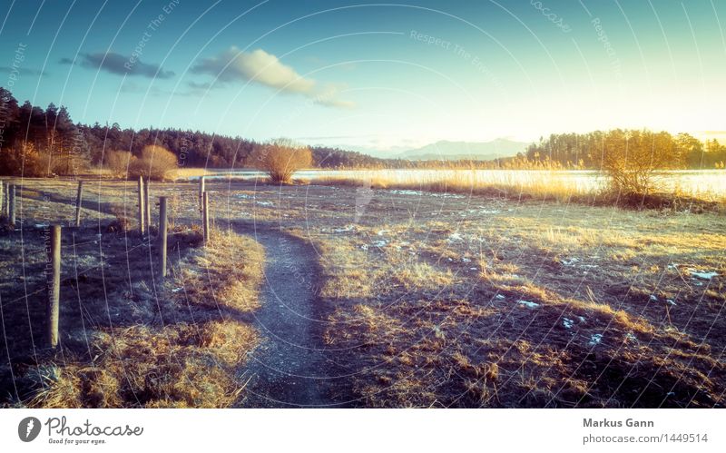 Sonnenuntergangsstimmung Winter Natur Landschaft Himmel Horizont Sonnenaufgang Seeufer kalt blau braun Bayern Wege & Pfade Osterseen Zaun Wolken Farbfoto