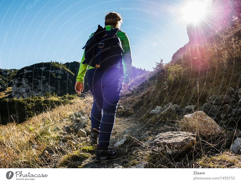 bewandert Freizeit & Hobby Berge u. Gebirge wandern feminin 1 Mensch 18-30 Jahre Jugendliche Erwachsene Wolkenloser Himmel Herbst Sträucher Felsen Alpen Hose