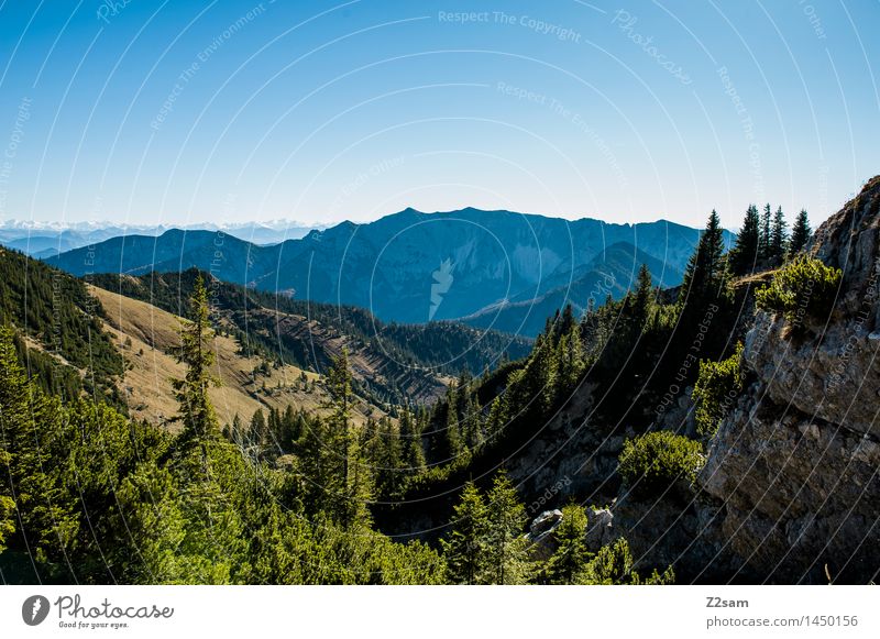 Ausblick Freizeit & Hobby wandern Natur Landschaft Wolkenloser Himmel Herbst Schönes Wetter Wald Alpen Berge u. Gebirge blau grün Lebensfreude demütig Abenteuer