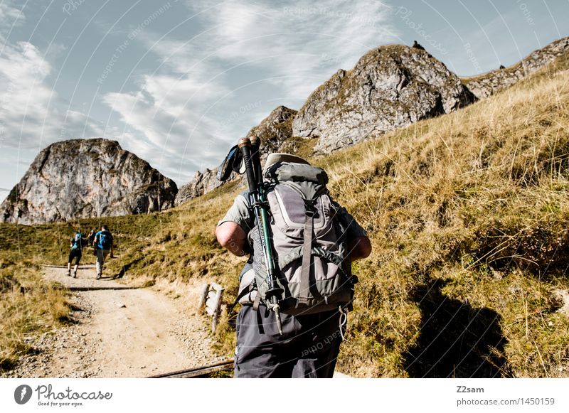 alpine backpacker Freizeit & Hobby wandern Mensch 3 Herbst Gras Sträucher Hügel Felsen Alpen gehen natürlich sportlich geduldig diszipliniert Ausdauer Abenteuer