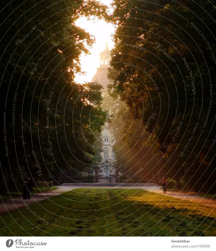 Letzter Sommerabend Herbst Abendsonne Physik lau Park Wiese Wald Spaziergang genießen Joggen Karlsruhe gestaltbar Trauer Vergänglichkeit Ende Sonne Wärme