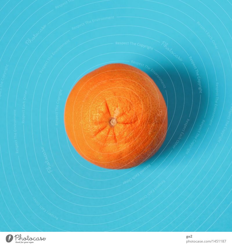 Orange Lebensmittel Frucht Ernährung Essen Frühstück Bioprodukte Vegetarische Ernährung Diät Fasten Vitamin Vitamin C vitaminreich Gesundheit Gesunde Ernährung