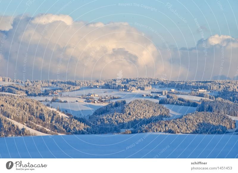 in Watte gepackt Umwelt Natur Landschaft Wolken Sonnenlicht Winter Klima Schönes Wetter Eis Frost Schnee Wald Hügel Berge u. Gebirge kalt Schneelandschaft