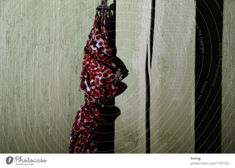 pontchens Sonnenschirm in der Chipfälscherwerkstatt Regenschirm Schirm vergessen Wand Wetter Meteorologie Käfer Marienkäfer Gewitter Herbst Bekleidung parken