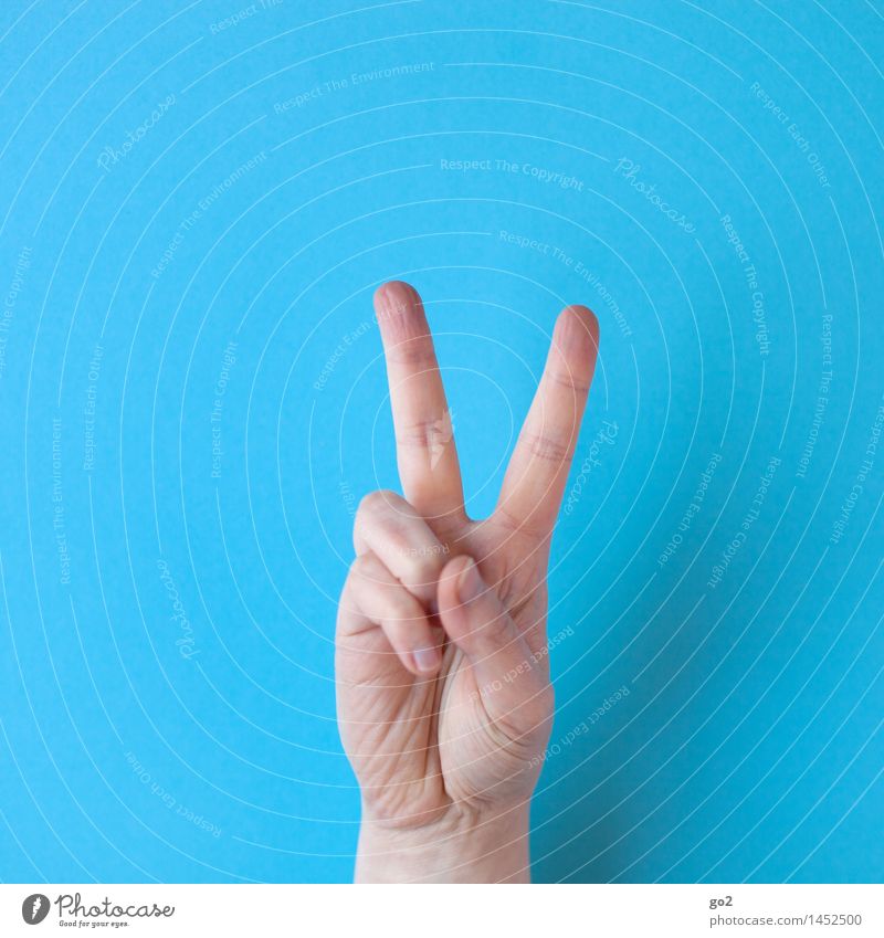 V Mensch Erwachsene Hand Finger 1 Zeichen Kommunizieren Erfolg positiv Optimismus Kraft Toleranz Frieden gestikulieren Farbfoto Innenaufnahme Studioaufnahme