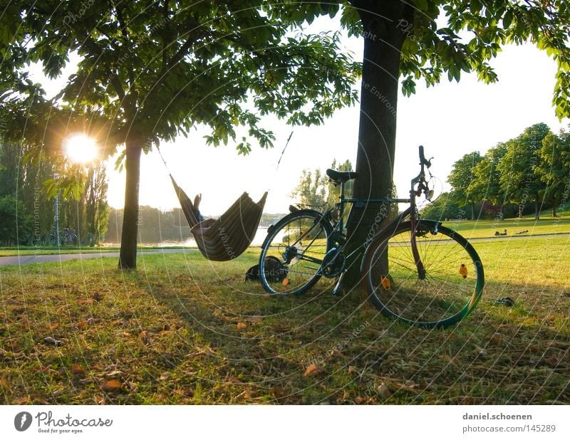Feierabend Hängematte Sonne Sonnenstrahlen Fahrrad Abend frei Freiheit Freizeit & Hobby Ferien & Urlaub & Reisen Erholung Stress Licht Wiese Baum Pause Freude