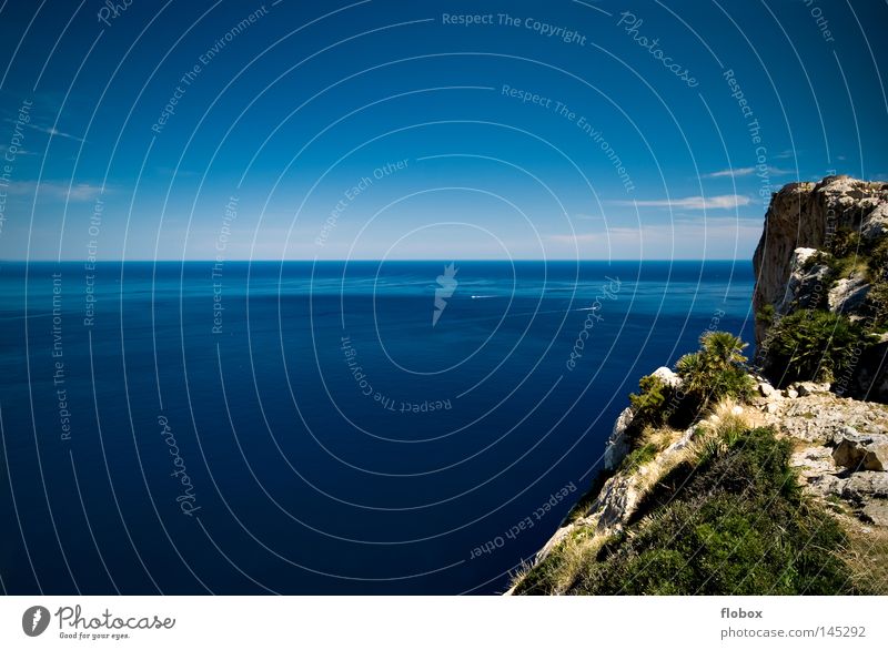 Riecht nach Freiheit Meer Küste Klippe Festland See Meerwasser Möwe Wasserfahrzeug Baum Spanien Mallorca Cap Formentor steil Felsen steinig Landschaft
