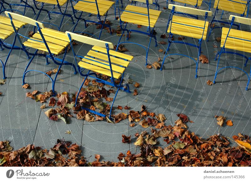 open air Herbst Stimmung Farbe gelb braun Blatt Stuhl Pause grau Verkehrswege Bildung