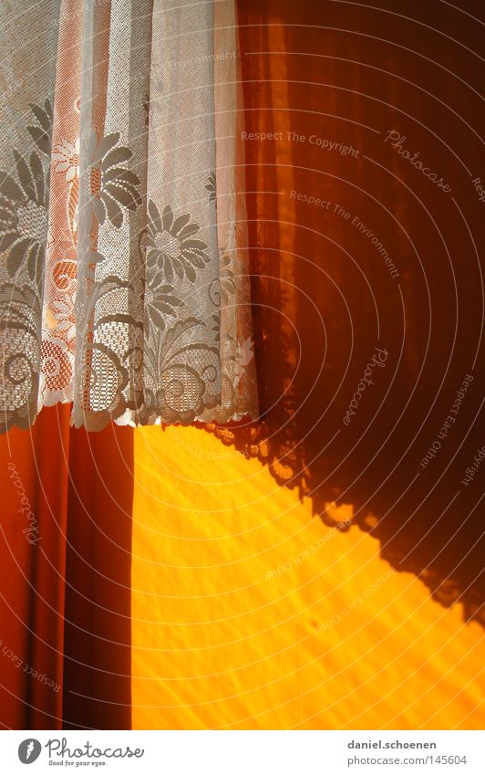Omas Vorhänge Raum Stoff Vorhang Farbe Hintergrundbild Muster orange Licht Schatten Makroaufnahme Nahaufnahme Vergänglichkeit Wohnzimmer