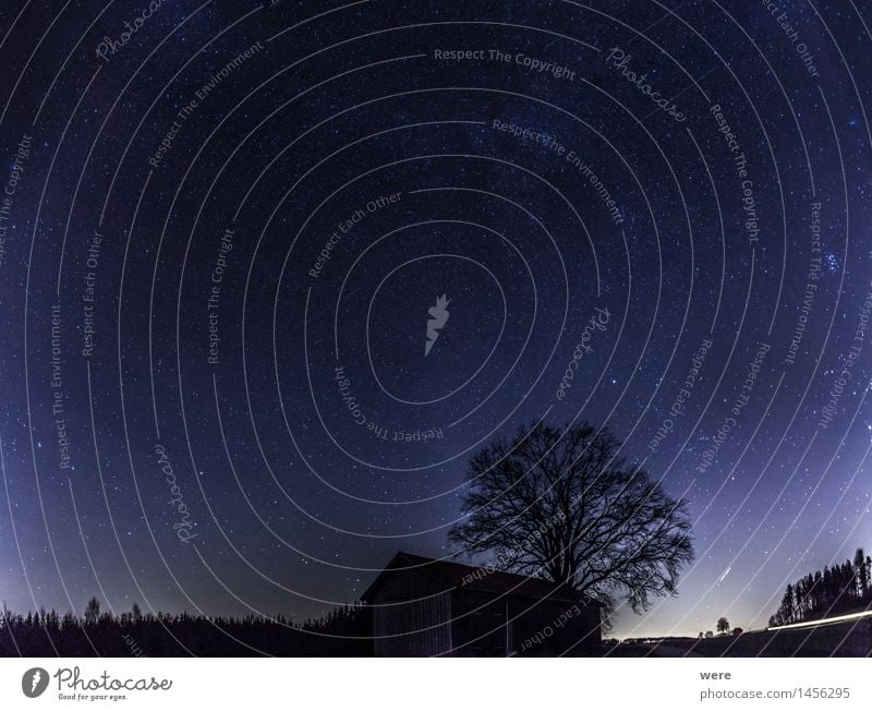 Wessobrunner Sternenhimmel Natur Pflanze Nachthimmel Baum Hütte Observatorium Blick gigantisch glänzend Unendlichkeit Romantik Wunsch Astronaut Astronomie