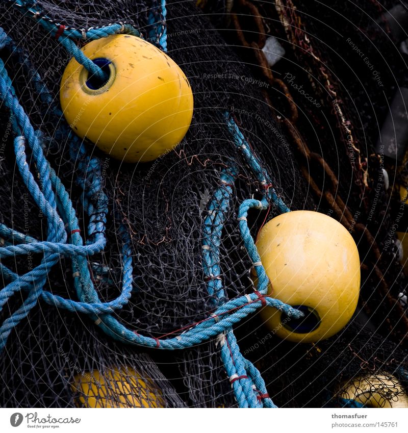 Fischernetz mit Kugeln Meer Fischereiwirtschaft blau-gelb Sommer Ferien & Urlaub & Reisen Erholung träumen Ostsee Netzwerk See maritim Haufen Stapel
