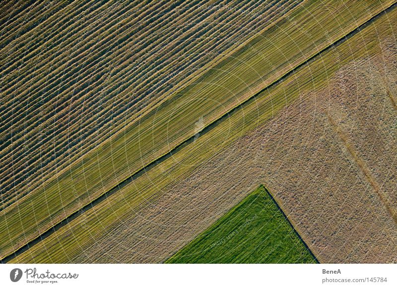 Feld Lebensmittel Arbeit & Erwerbstätigkeit Wirtschaft Landwirtschaft Forstwirtschaft Handel Natur Landschaft Gras Nutzpflanze Wiese Bach Linie drehen grün rot