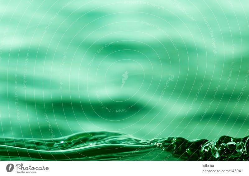 Bil-Wasser II _ "Die grüne Welle" Wellen Leben Gefühle Urelemente Chemische Elemente See liquide Flüssigkeit weich zart ruhig beruhigend leer Luft ursprünglich