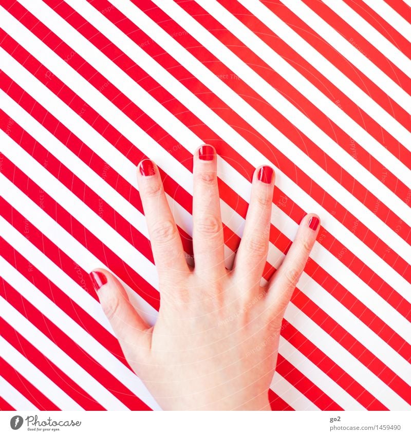 Rot Stil schön Körperpflege Maniküre Nagellack Mensch feminin Frau Erwachsene Hand Finger 1 Linie Streifen ästhetisch außergewöhnlich einzigartig rot weiß