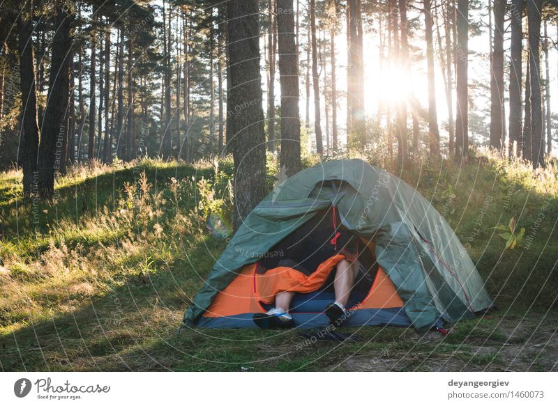 Zelt im Wald am Sonnenlicht schön Erholung Freizeit & Hobby Ferien & Urlaub & Reisen Tourismus Ausflug Abenteuer Camping Sommer wandern Natur Landschaft Baum