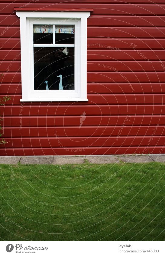 Schwedenschick 2008 Haus weiß rot rot-weiß Fenster Gras Rasen Holzbrett Holzhaus Fensterrahmen Dekoration & Verzierung Fensterdekoration Neubau Skandinavien