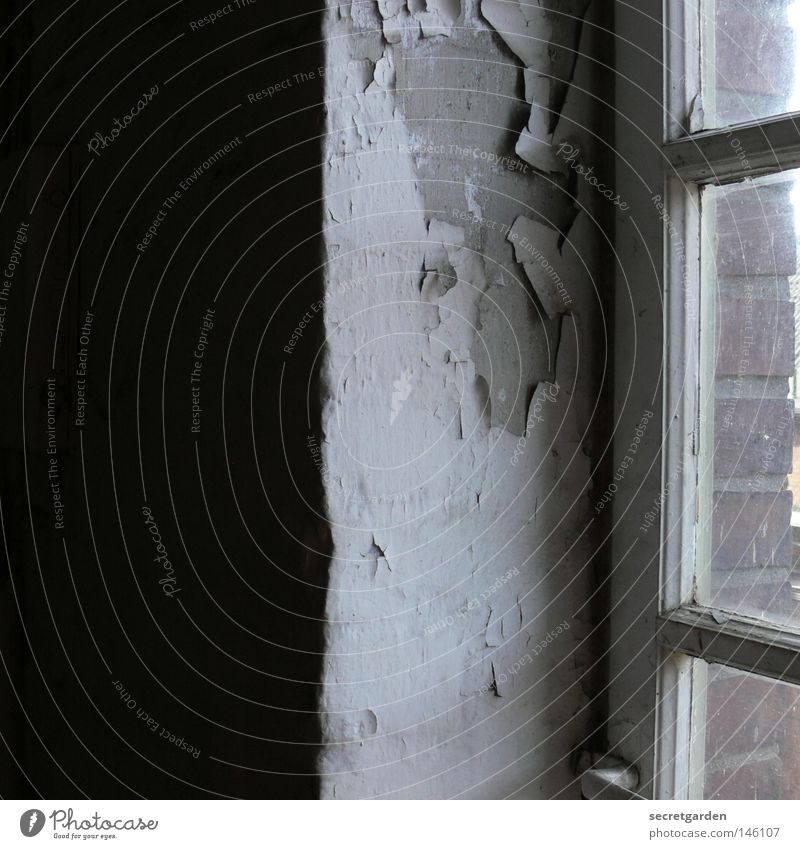 [HH08.3] die vertikalisation der struktualisierung. Raum Fenster Verfall verlieren Putz Reinigen Fensterrahmen Holz Luft antik Fabrik Leitersprosse Licht dunkel