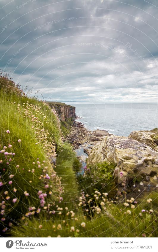 Bis ans Ende der Welt II Natur Landschaft Wolken schlechtes Wetter Blume Gras Moos Wellen Küste Nordsee Klippe dunnet head Schottland Ferien & Urlaub & Reisen