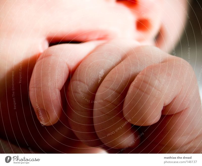 MINI festhalten berühren Kontakt Hand groß Gegenteil Kontrast Frieden Freude süß niedlich schön Baby Bauch Babybauch Nachkommen Kind Mädchen Gefühle Embryo