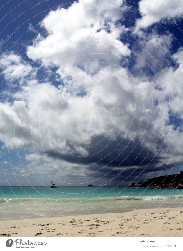 wolkenbruch im honeymoonparadies Seychellen Indischer Ozean Flitterwochen Bräutigam verheiratet Trauminsel Palme Strand Wolken türkis Meer genießen träumen