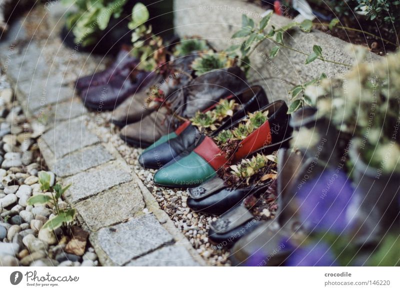 Schuhparade Schuhe gehen Stiefel Leder mehrfarbig Unschärfe analog Spiegelreflexkamera Garten Pflanze Wachstum Leben Topf Stein Recycling Granit grün