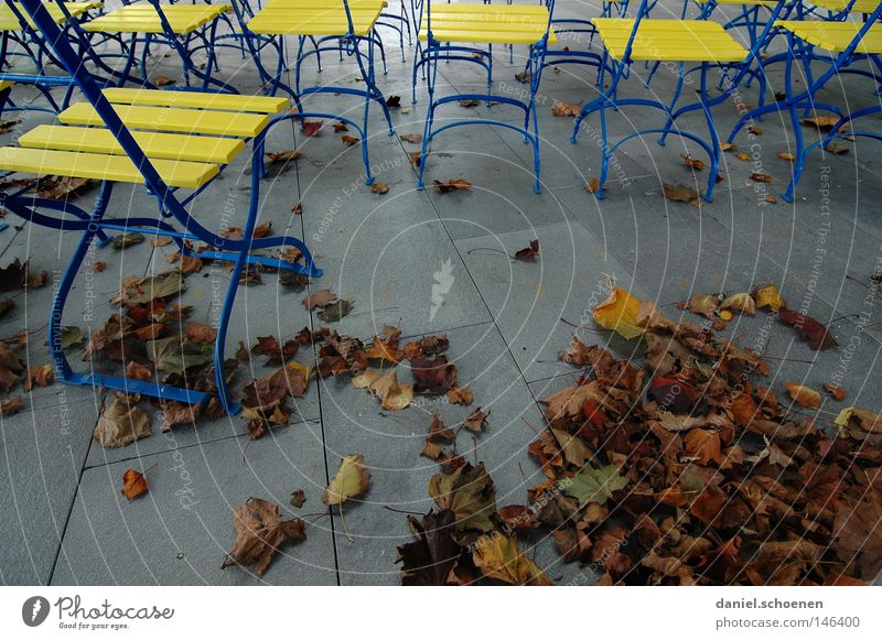 Herbst 7 Stimmung Farbe gelb braun Blatt Stuhl Pause grau Park
