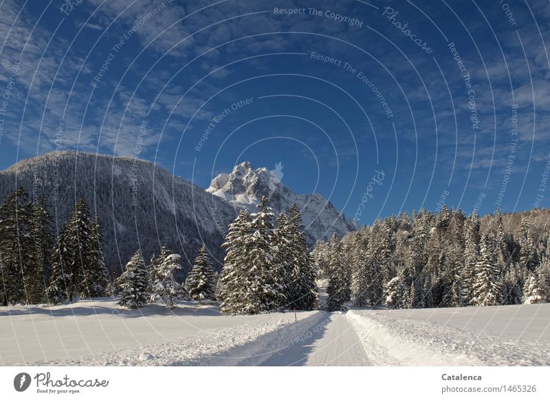 Weg zur Wettersteinspitze, Winterlandschaft mit blauem Himmel wandern Skilanglauf Umwelt Natur Landschaft Pflanze Urelemente Wasser Schönes Wetter