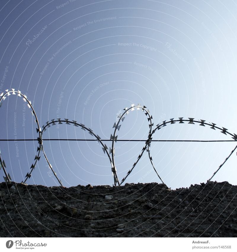 ohne Bewährung Stacheldraht Draht Zaun Mauer Grenze Grenzpfahl Grenzsoldat Grenzgebiet Berliner Mauer Trennung Teilung Sicherheit Justizvollzugsanstalt gefangen