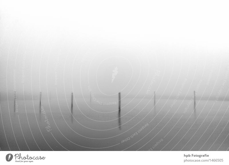 Pfosten in der Nordsee Natur Landschaft Wasser Herbst Wetter Nebel Wellen Meer Insel Ferien & Urlaub & Reisen Blick maritim natürlich Stimmung schön