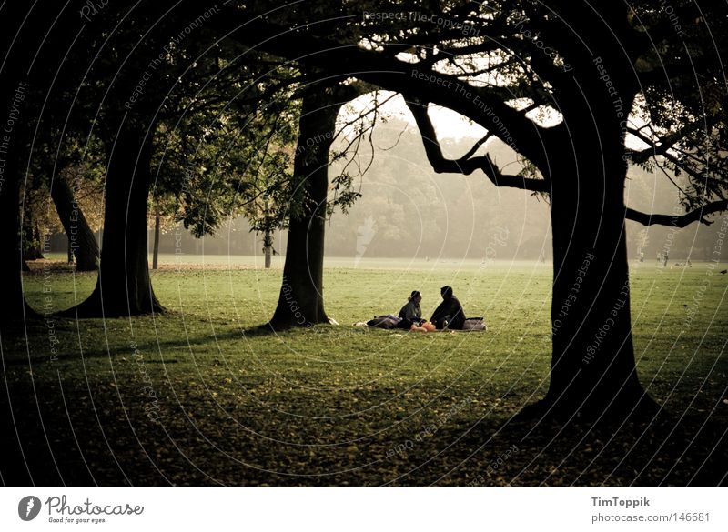 100 Jahre Photocase Herbst Park Picknick Nebel Paar Baum Wald Stadtwald Wäldchen Partnerschaft Erholung Waldlichtung schlechtes Wetter Einsamkeit sprechen Natur
