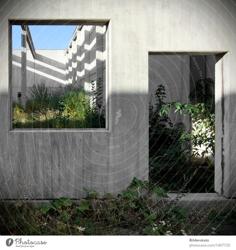 Rooms Garten Hausbau Renovieren Innenarchitektur Raum Wirtschaft Kunst Architektur Natur Pflanze Menschenleer Gebäude Mauer Wand Beton bauen entdecken träumen