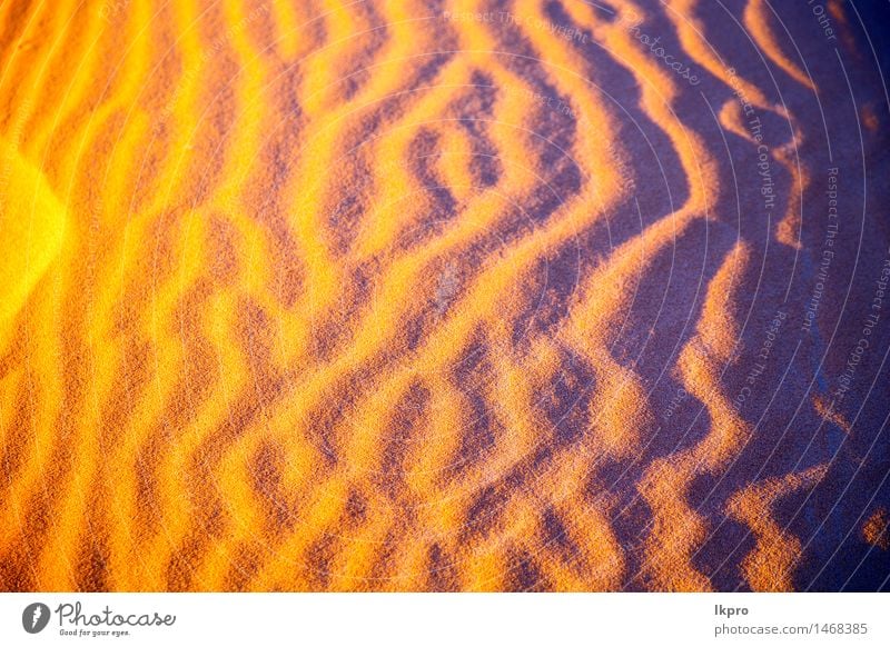 in der Sahara-Marokko-Wüste schön Ferien & Urlaub & Reisen Tapete Natur Landschaft Sand Schönes Wetter Urwald Hügel heiß blau braun gelb Einsamkeit Idylle wüst