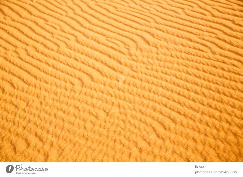 in der Sahara-Marokko-Wüste schön Ferien & Urlaub & Reisen Tapete Natur Landschaft Sand Schönes Wetter Urwald Hügel heiß braun gelb Einsamkeit Idylle wüst Düne