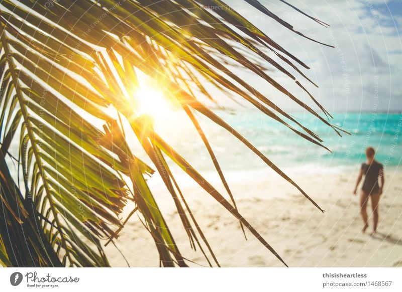 Gestrandet auf einer einsamen Insel! feminin 1 Mensch Sand Wasser Blatt Palme Strand Meer T-Shirt Fußspur Erholung laufen träumen exotisch Glück blau gelb grün