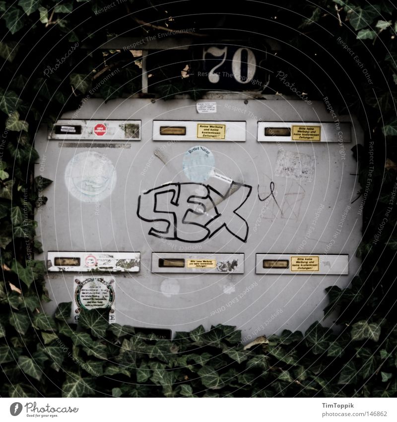 Sex Briefkasten Post Etikett Blatt Hecke Graffiti Aufschrift sprühen Vandalismus Hausnummer Wohnung Mehrfamilienhaus obskur Wandmalereien laubhecke