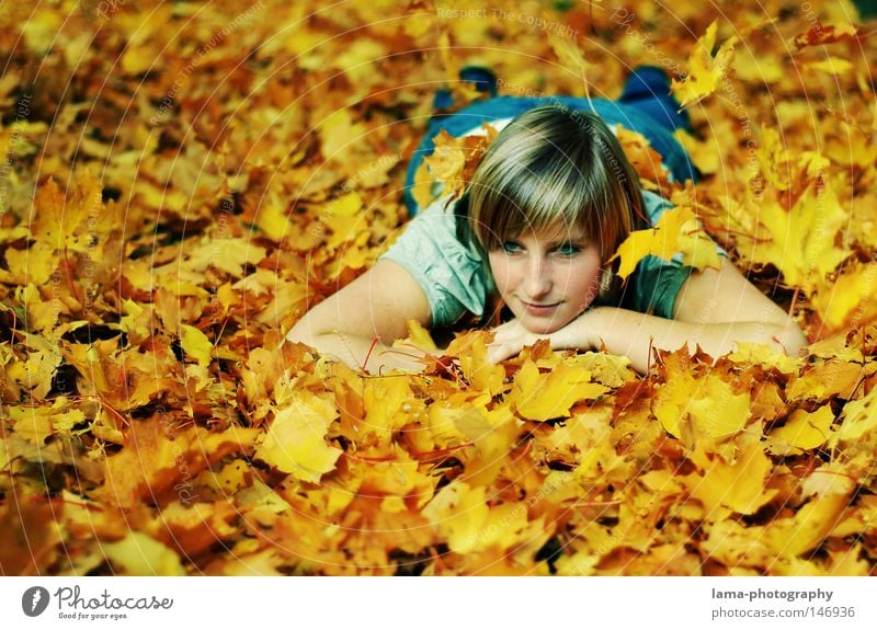 Herbstträume Blatt träumen Tagtraum Erholung Laubbaum Baum Frau Jugendliche Gelassenheit Einsamkeit Hoffnung Stimmung schön Porträt Jahreszeiten September