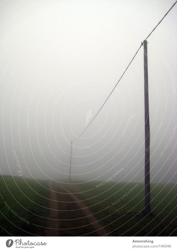Leitung im Nebel Kabel Himmel Herbst Wetter Gras Wiese Wege & Pfade Perspektive führen Elektrizität Strommast Farbfoto Hochspannungsleitung schlechtes Wetter