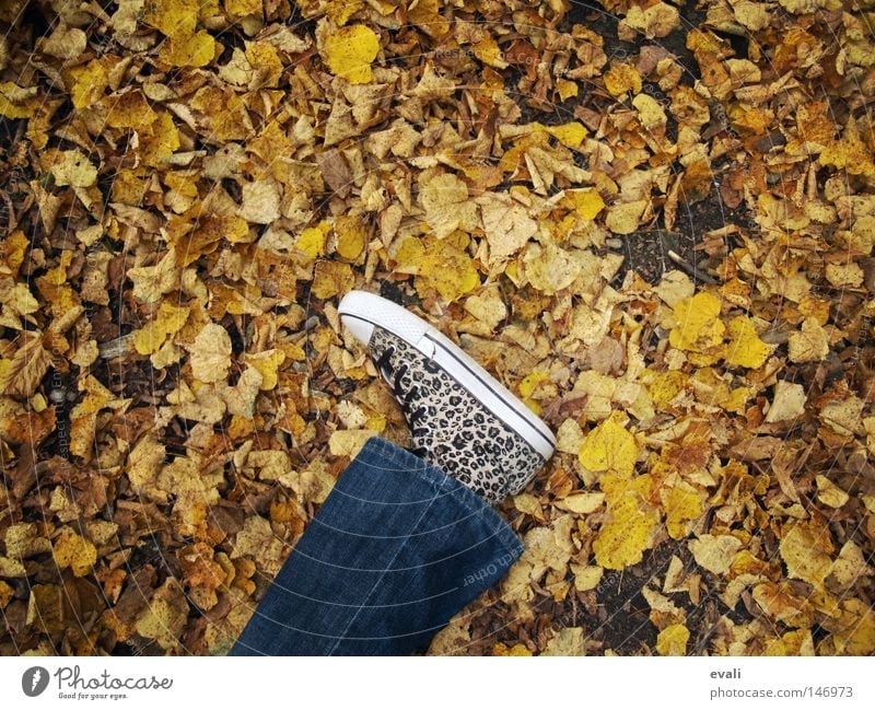 Bittersweet October Herbst Schuhe Blatt Einsamkeit fallen autumn Fuß Beine Jeanshose liegen foot leg shoe trousers leaf leaves